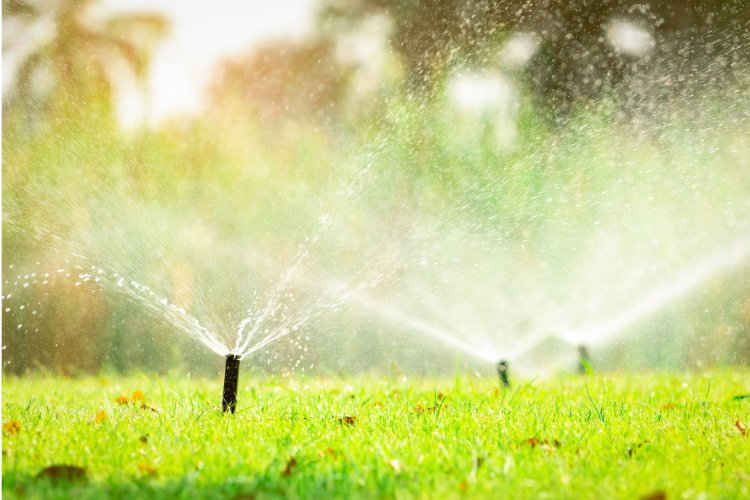 Irrigation